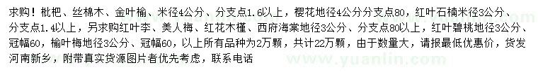 求購枇杷、絲棉木、金葉榆等
