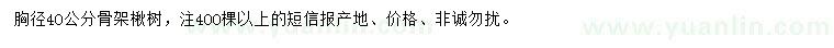 求購(gòu)胸徑40公分骨架楸樹(shù)