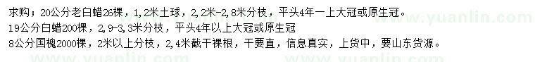 求購老白蠟、白蠟、國槐