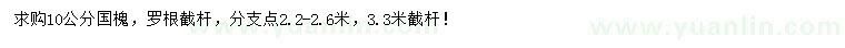 求購10公分國槐