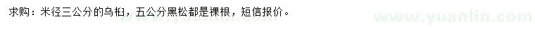 求購米徑3公分烏桕、5公分黑松