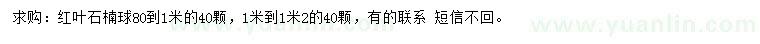 求購80-100、100-120公分紅葉石楠球