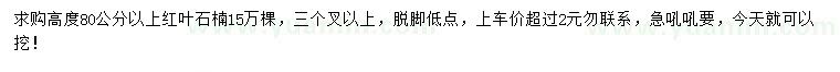 求購高度80公分以上紅葉石楠
