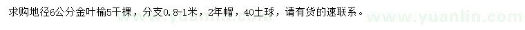 求購(gòu)地徑6公分金葉榆
