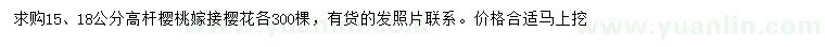 求購15、18公分櫻花