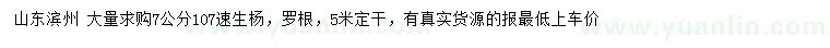 求購7公分107速生楊