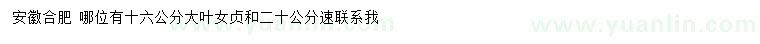 求購12、16公分大葉女貞