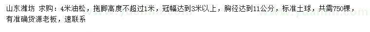 求購(gòu)胸徑11公分油松