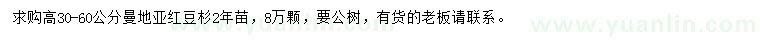求購高30-60公分曼地亞紅豆杉