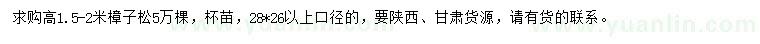 求購高1.5-2米樟子松