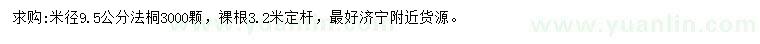 求購米徑9.5公分法桐
