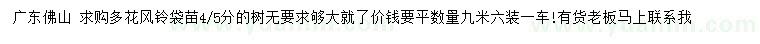 求購(gòu)4、5公分多花風(fēng)鈴袋苗