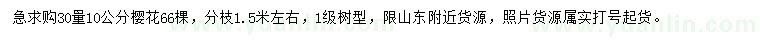 求購30量10公分櫻花