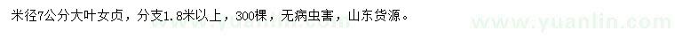 求購(gòu)米徑7公分大葉女貞