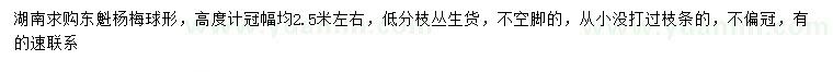 求購冠幅2.5米左右東魁楊梅球形