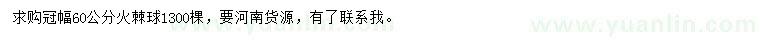 求購冠幅60公分火棘球