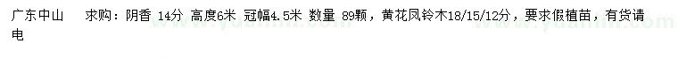 求購14公分陰香、12、15、18公分黃花鳳鈴木