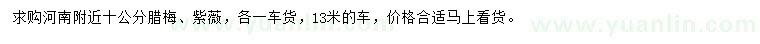 求購(gòu)10公分臘梅、紫薇