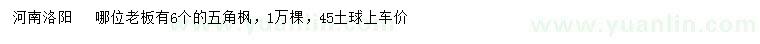 求購6公分五角楓