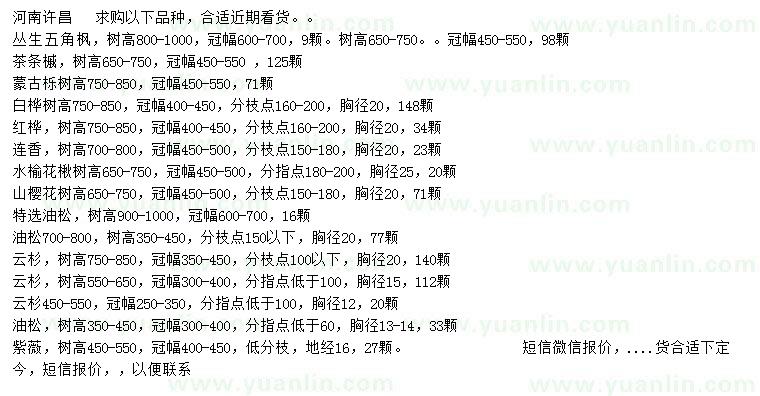求購叢生五角楓、茶條槭、蒙古櫟等