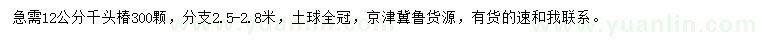 求購12公分千頭椿