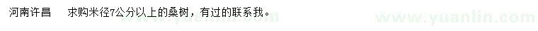 求購(gòu)米徑7公分以上桑樹