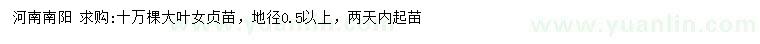 求購地徑0.5公分以上大葉女貞苗