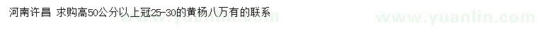 求購(gòu)高50公分以上黃楊