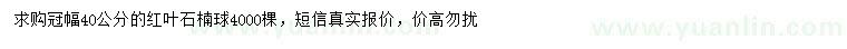 求購(gòu)冠幅40公分紅葉石楠球