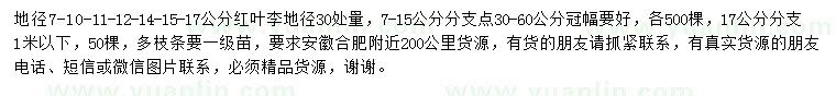 求購(gòu)7、10、11、12、14、15、17公分紅葉李