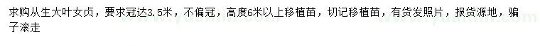 求購冠幅3.5米從生大葉女貞