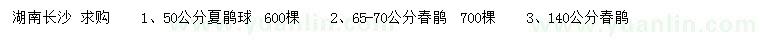 求購50公分夏鵑球、65-70、140公分春鵑