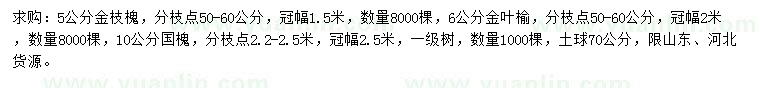 求購金枝槐、金葉榆、國槐