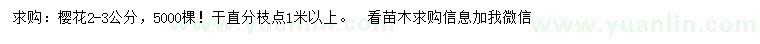 求購2-3公分櫻花