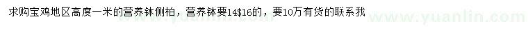 求購高1米側(cè)柏