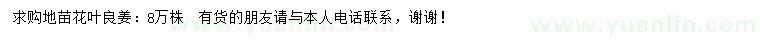 求購花葉良姜地苗