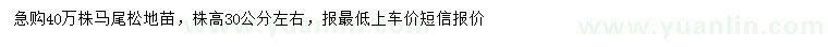求購高30公分左右馬尾松