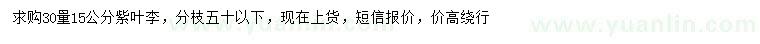 求購30量15公分紫葉李