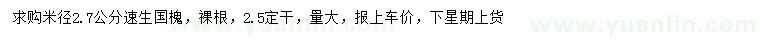 求購(gòu)米徑2.7公分速生國(guó)槐