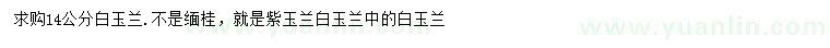 求購(gòu)14公分白玉蘭