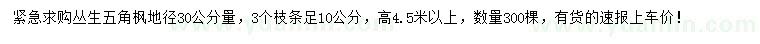 求購高4.5米以上叢生五角楓