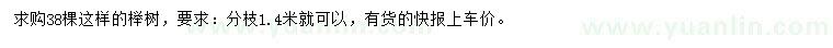求購分枝1.4米櫸樹
