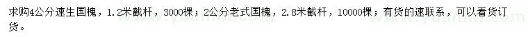 求購4公分速生國槐、2公分老式國槐
