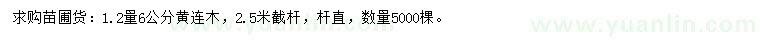 求購1.2量6公分黃連木