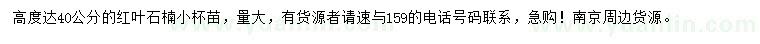 求購高40公分紅葉石楠小苗