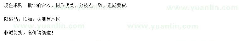 求購12公分合歡
