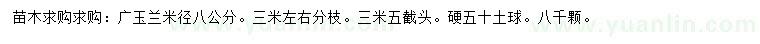 求購米徑8公分廣玉蘭