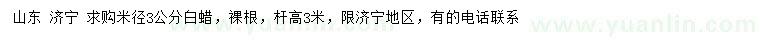 求購米徑3公分白蠟