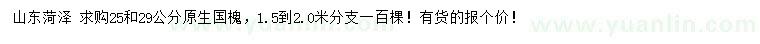 求購(gòu)25、29公分國(guó)槐