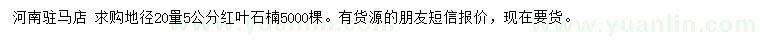 求購地徑20量5公分紅葉石楠
